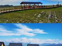 爱游戏官网-陕西新疆本该取胜，前途不明的简单介绍