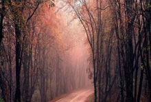 短道速滑决赛惊心动魄，韩国选手摘金