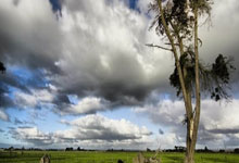 短道速滑决赛惊心动魄，韩国选手摘金