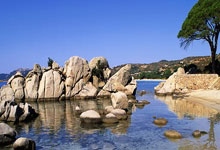 无人可挡！球队联手击败实力对手