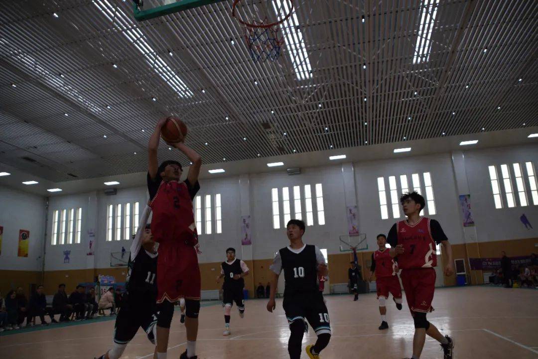 关于青海篮球队士气高昂，取得崭新胜利的信息