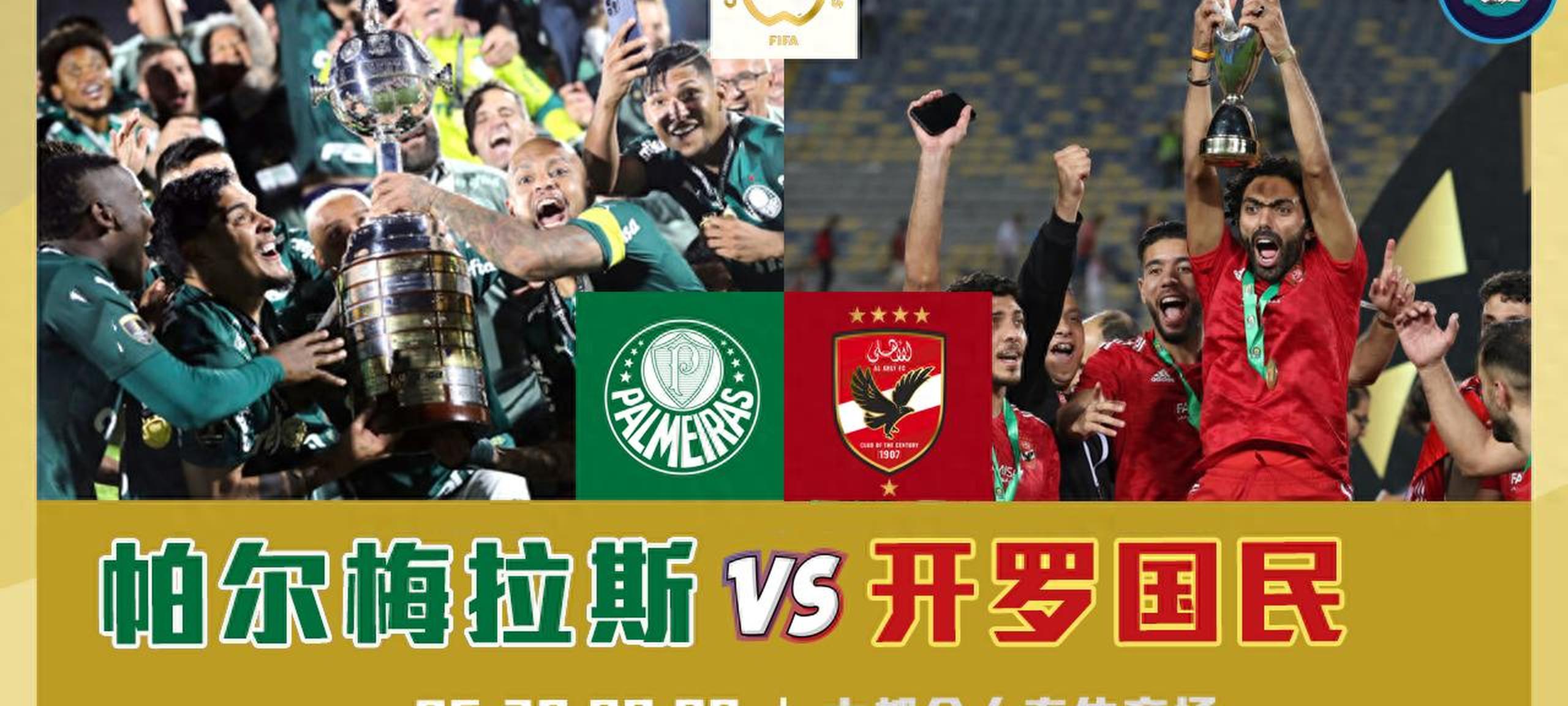 包含帕尔梅拉斯伤病名单更新，关键球员状态备受关注的词条