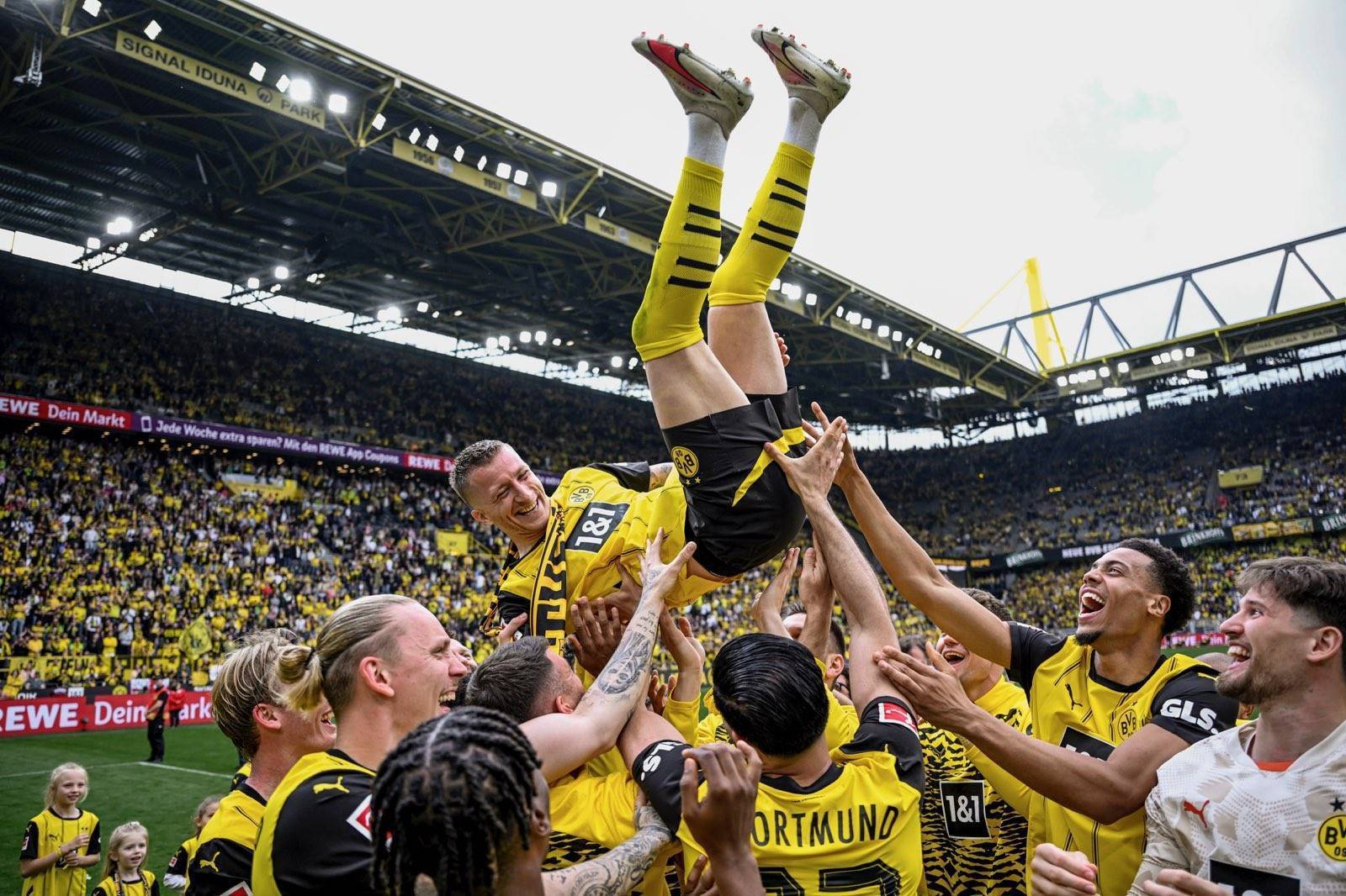 关于球星们的投入让比赛更富激情的信息 关于球星们的投入让比赛更富激情的信息