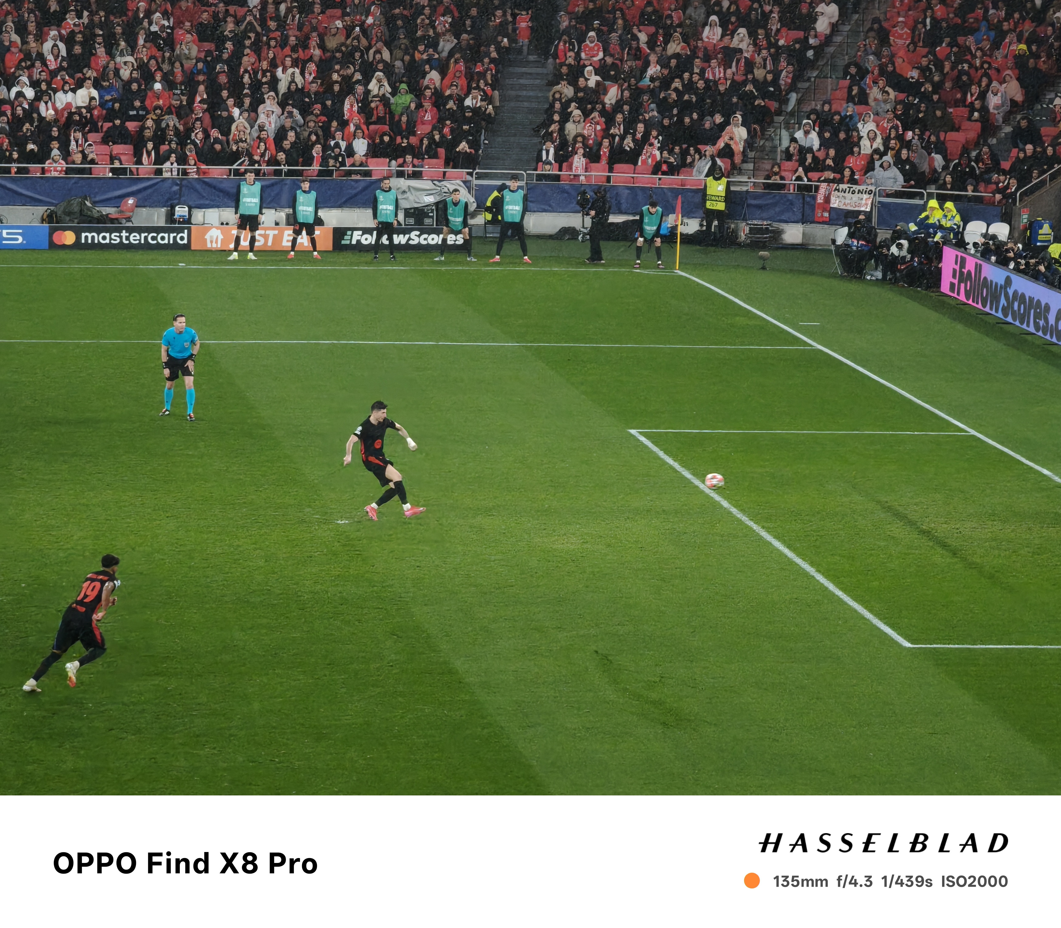 包含阿尔巴尼亚队锋线爆发,成功晋级下一轮的词条 包含阿尔巴尼亚队锋线爆发,成功晋级下一轮的词条